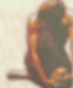 Fussion center - yoga y pilates en madrid